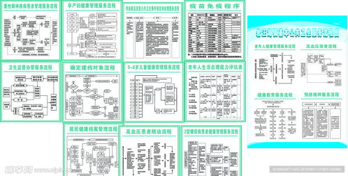 公共卫生服务流程图的优化设计与信息系统集成服务融合路径探析